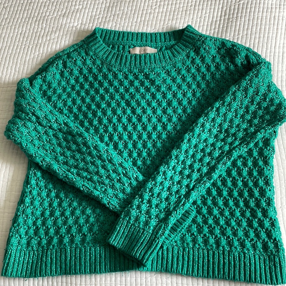 LOFT chunky knit sweater
